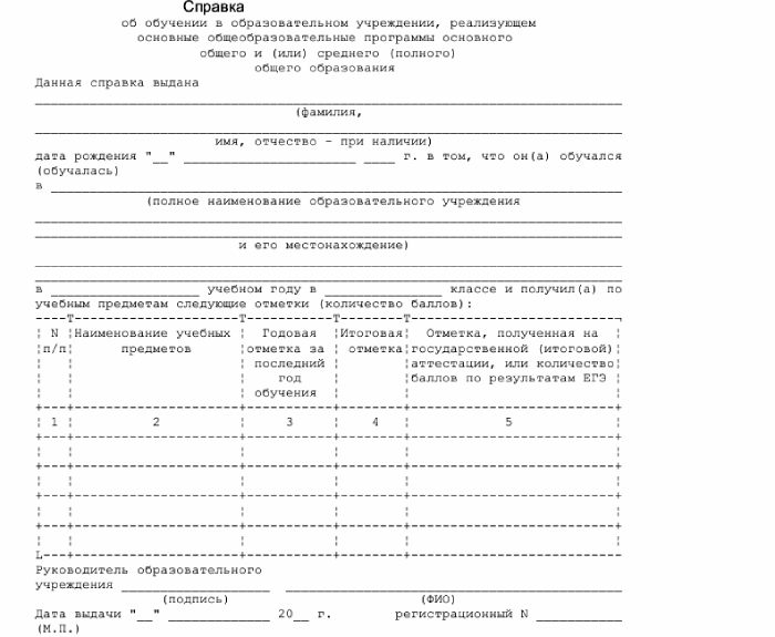 Образец справки об обучении 2023